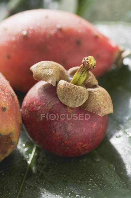 Mangosteen and prickly pears — Stock Photo