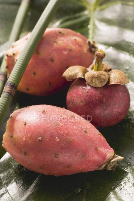 Mangostán y peras espinosas - foto de stock