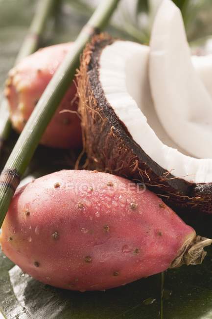 Prickly pears and coconut — Stock Photo