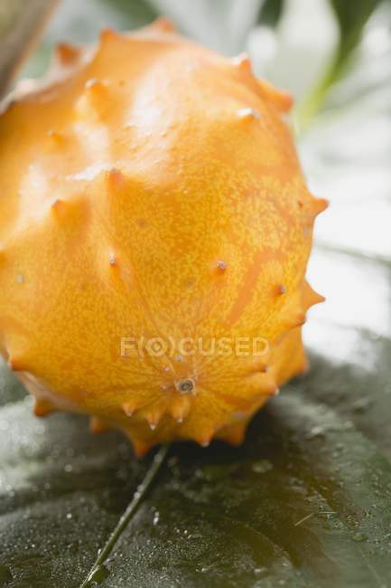 Fresh Kiwano fruit — Stock Photo