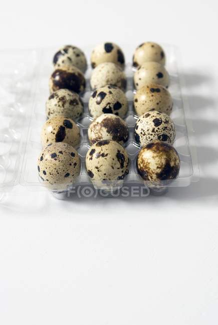 Huevos de codorniz en recipiente - foto de stock