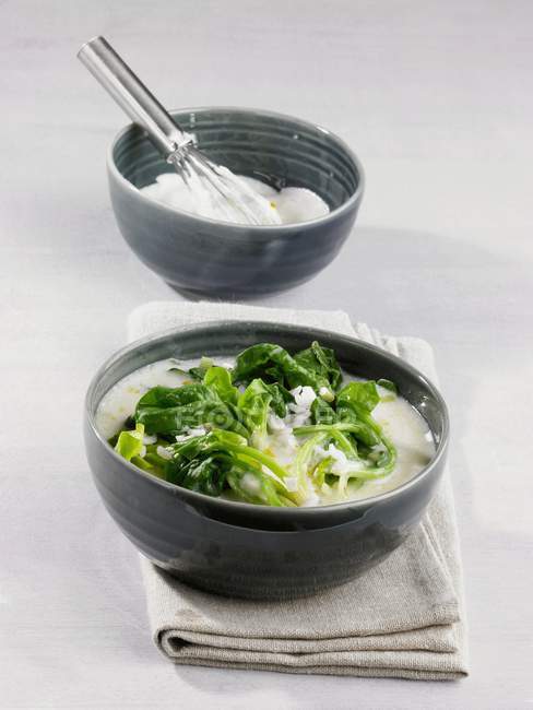 Sopa de espinacas y yogur con arroz - foto de stock
