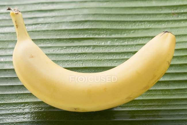 Plátano sobre hoja verde - foto de stock