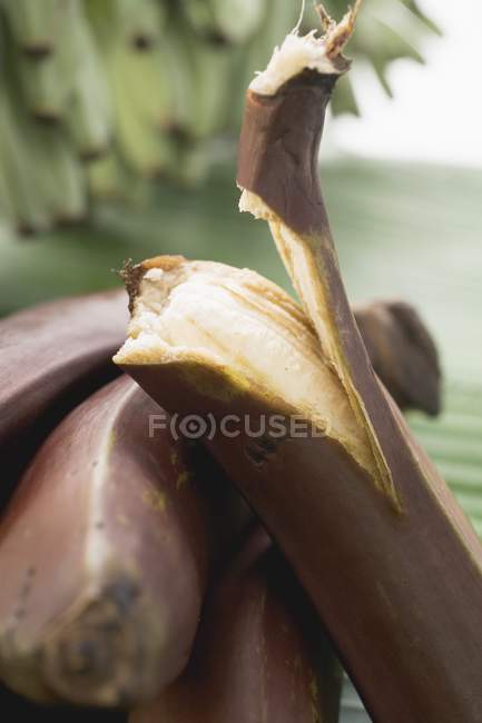 Bananas vermelhas maduras — Fotografia de Stock