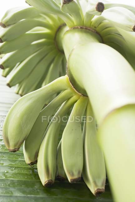 Banane con gocce d'acqua — Foto stock