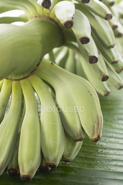 Bananas with drops of water — Stock Photo