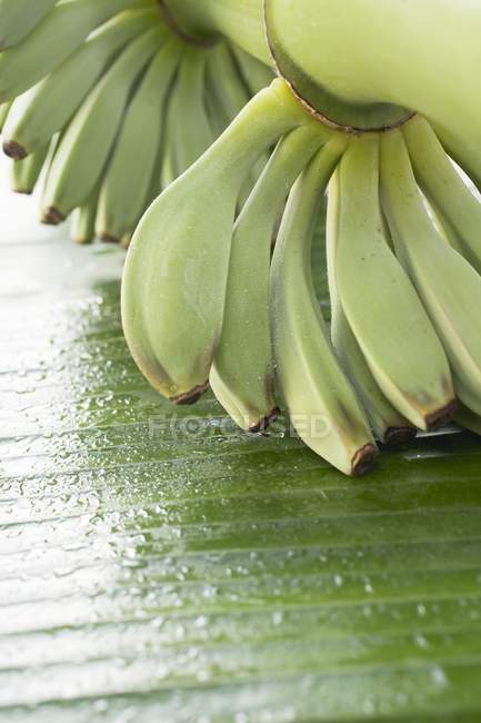 Bananes avec gouttes d'eau — Photo de stock