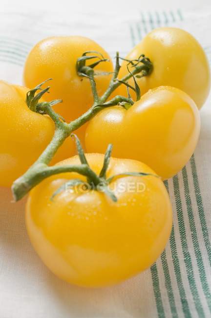 П'ять жовтих помідорів вишні — стокове фото