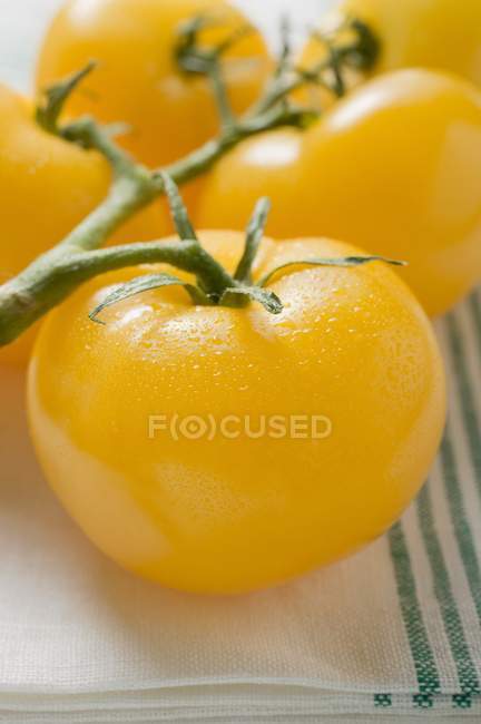Fünf gelbe Kirschtomaten — Stockfoto