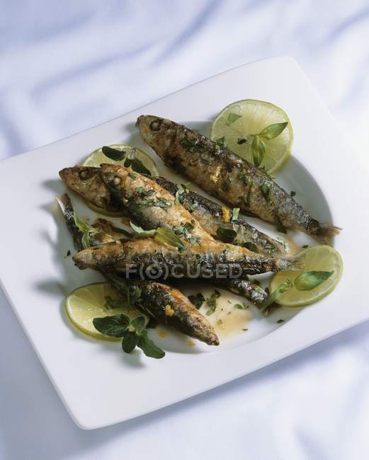 Fried sardines with herbs — Stock Photo