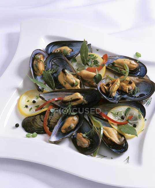 Cooked mussels with herbs and lemon — Stock Photo