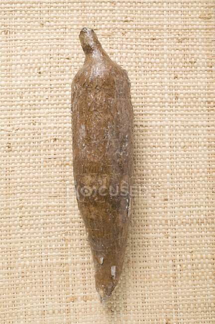 Pose de manioc brut sur la surface textile — Photo de stock