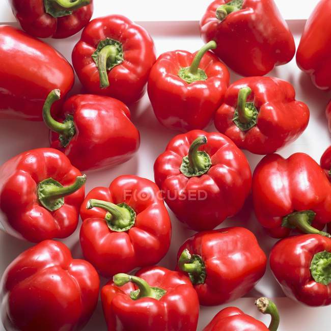 Red ripe peppers — Stock Photo