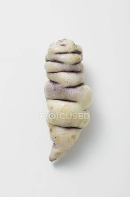 Nahaufnahme von einer Oxalis tuberosa Knolle auf weißer Oberfläche — Stockfoto