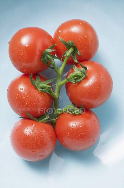 Tomates de videira com baixas de água — Fotografia de Stock