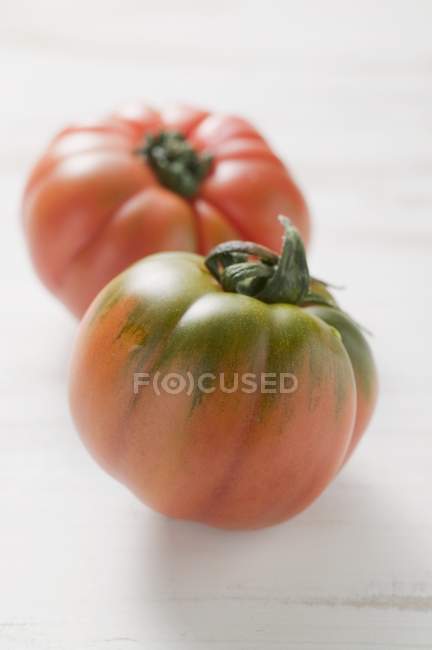 Два помидора из бифштекса — стоковое фото