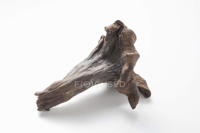 Chanterelle noire fraîche — Photo de stock