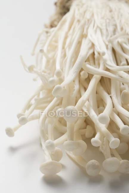Cogumelos Enokitake, close-up — Fotografia de Stock