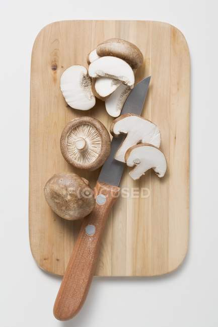 Champignons shiitake, gros plan — Photo de stock