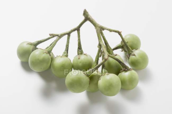 Mini-beringelas verdes no talo — Fotografia de Stock
