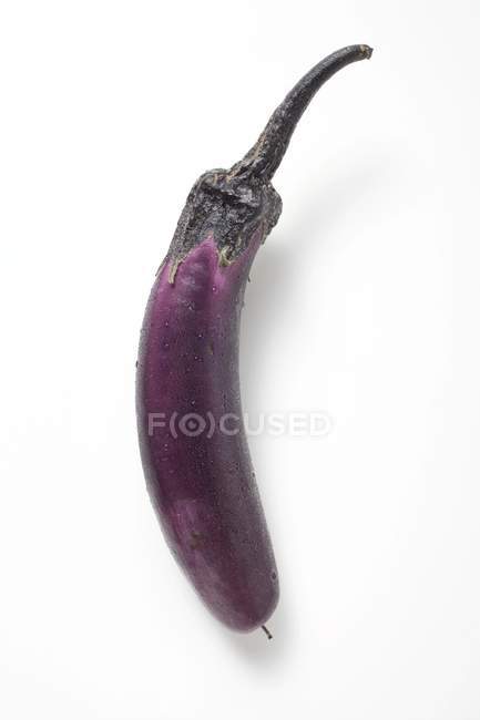 Berenjena púrpura fina - foto de stock