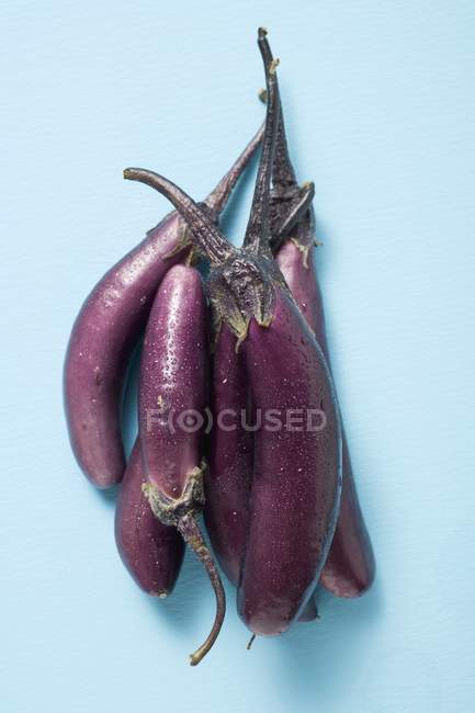 Melanzane viola fresche — Foto stock