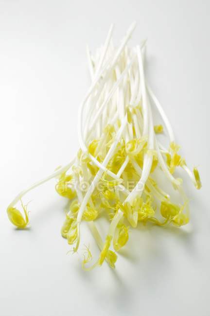 Raw Fresh sprouts — Stock Photo