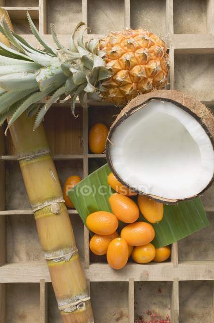 Abacaxi e coco com kumquats — Fotografia de Stock
