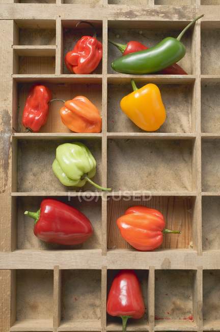 Verschiedene Paprika und Chilischoten — Stockfoto