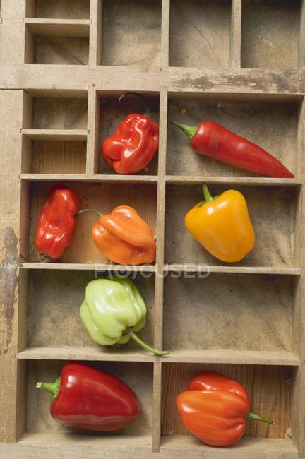 Verschiedene Paprika und Chilischoten — Stockfoto