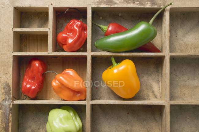 Vários pimentos e pimentas — Fotografia de Stock