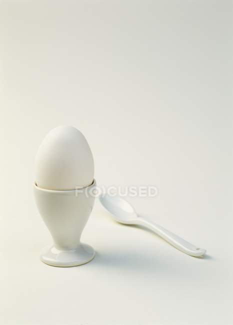 Boiled white egg in egg-cup — Stock Photo