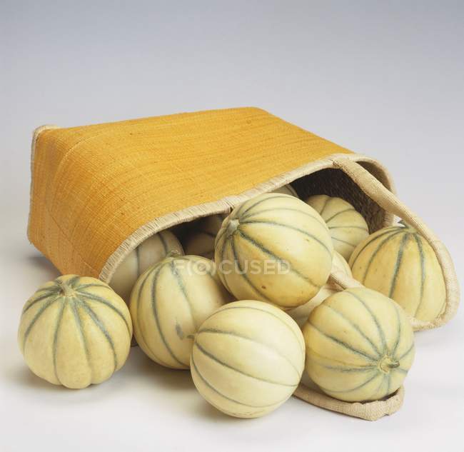 Charentais melões com saco — Fotografia de Stock