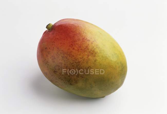 Свіжі стиглий плід манго — стокове фото