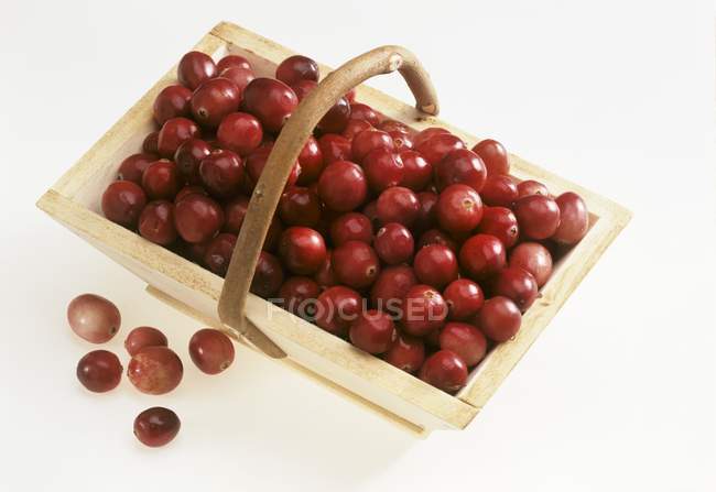 Cranberries in wooden basket — Stock Photo