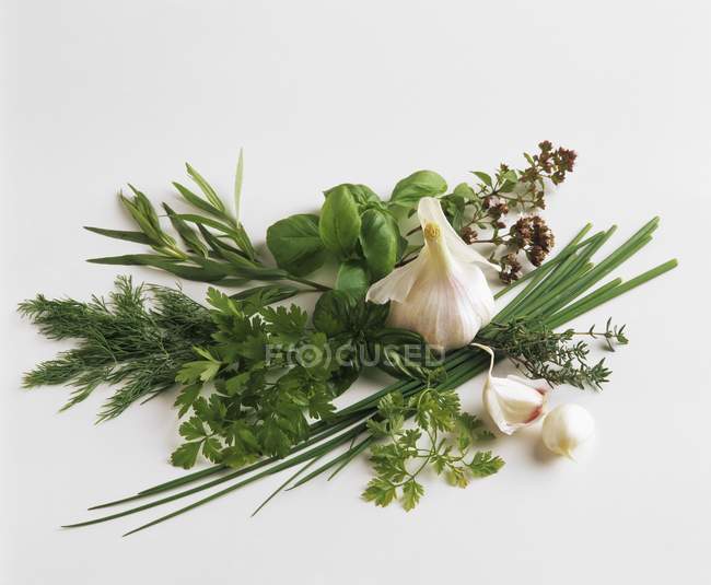 Various culinary herbs and garlic — Stock Photo