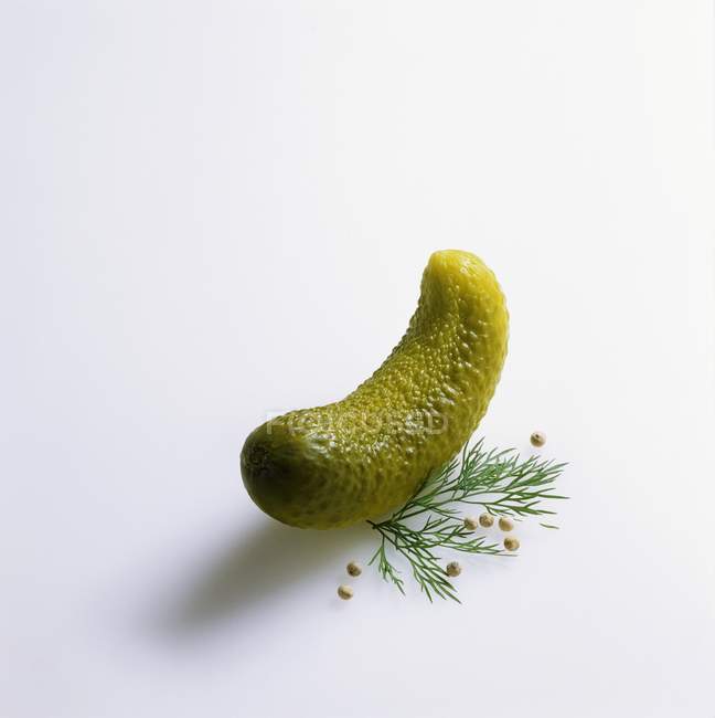 Pickled gherkin with dill and spice — Stock Photo