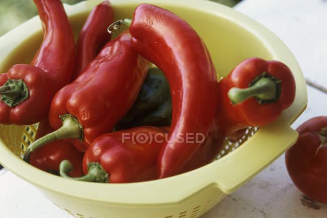 Pimentos vermelhos pontiagudos — Fotografia de Stock