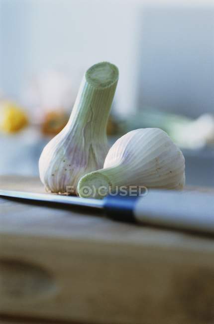 Two fresh garlic bulbs — Stock Photo