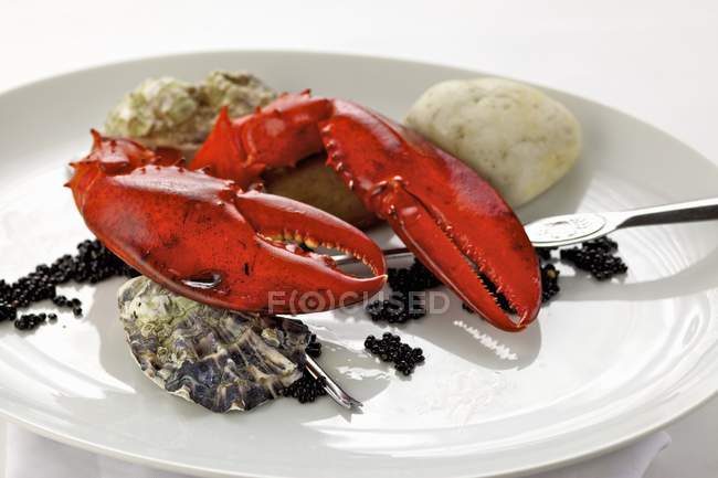 Homard au caviar et huîtres — Photo de stock
