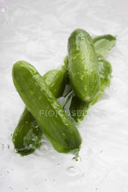 Cetrioli verdi in acqua — Foto stock