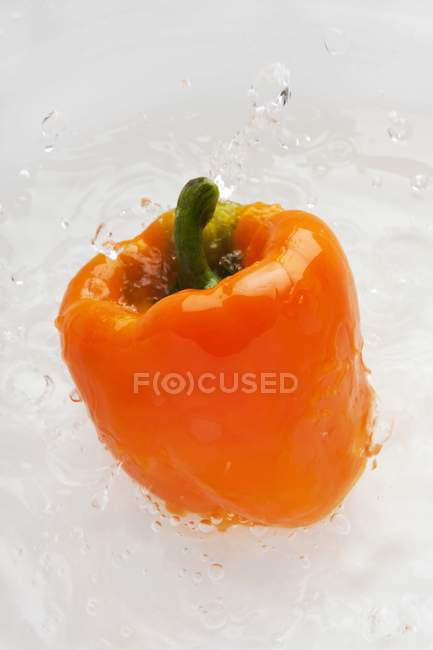 Апельсиновый перец в воде — стоковое фото