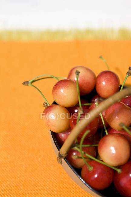 Белые вишни в корзине — стоковое фото