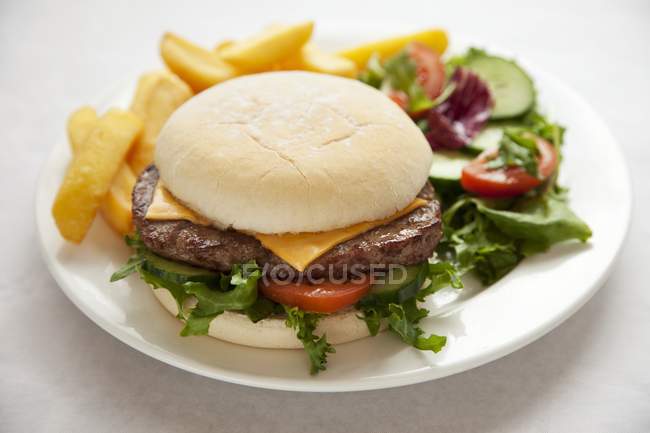 Cheeseburger with salad and potato fries — Stock Photo