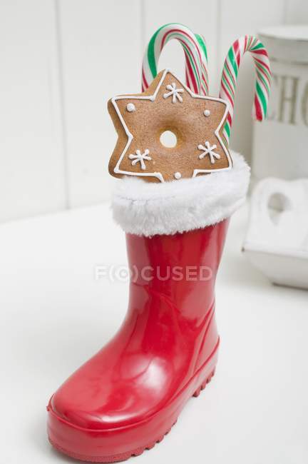 Gingerbread star and canes — Stock Photo
