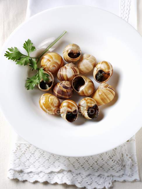 Lumache cotte con prezzemolo e aglio su piatto bianco — Foto stock
