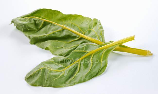 Yellow-stemmed chard leaves — Stock Photo