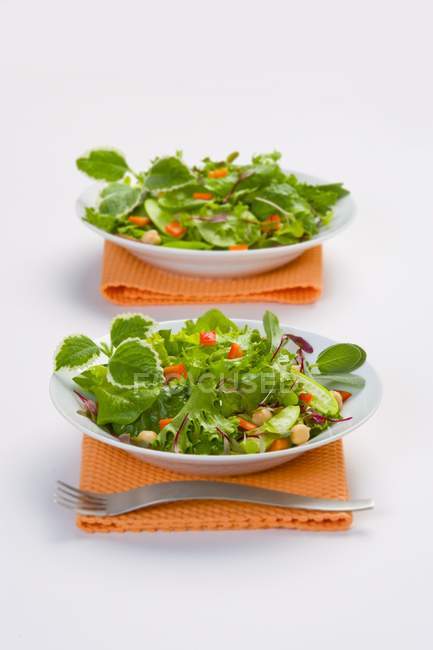 Organic Green Salads — Stock Photo
