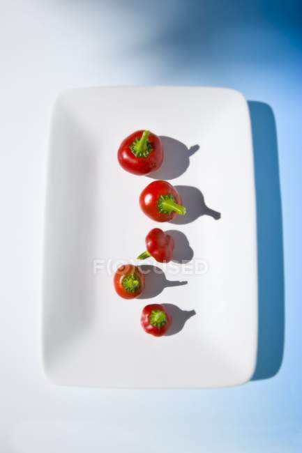 Peperoni rossi messicani — Foto stock