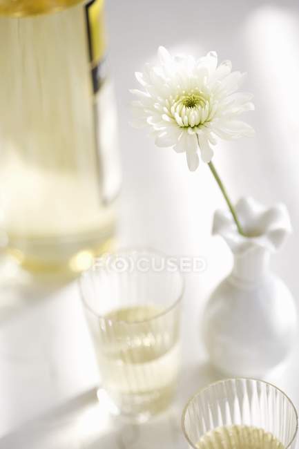 Bicchieri di vino bianco — Foto stock